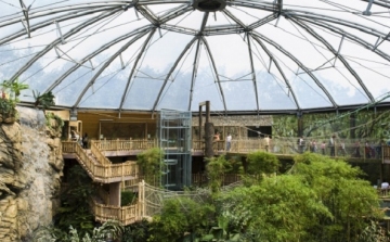 A leglátogatottabbak közé kerülhet a megújuló pécsi állatkert