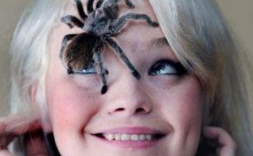 Pókimádó lett egy pókiszonyos nő