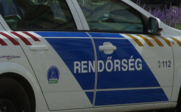 Megölte édesanyját és a nő párját - befejezték a nyomozást