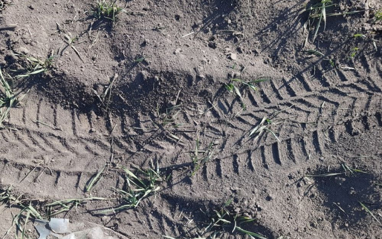 Driftelve rongálta meg a termőterületet