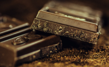 A szalmonellával szennyezett adalékanyagot Magyarországról szállították a belgiumi csokoládégyárba