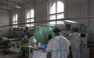 Meghalt 12 beteg, 371 új fertőzöttet találtak Magyarországon
