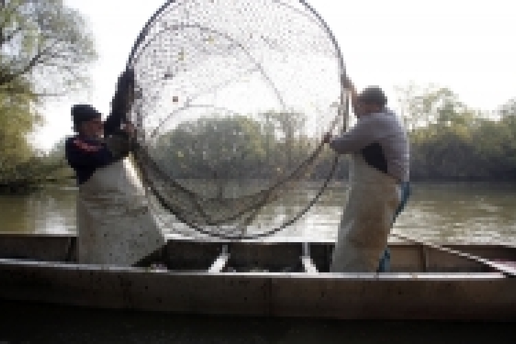 Módosul a horgászati és halászati szabályozás 