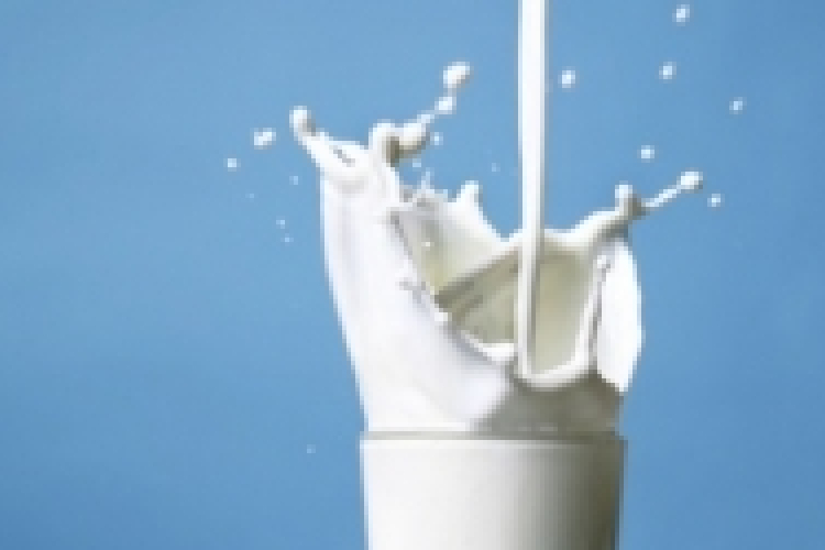 A meglepő igazság a tejről