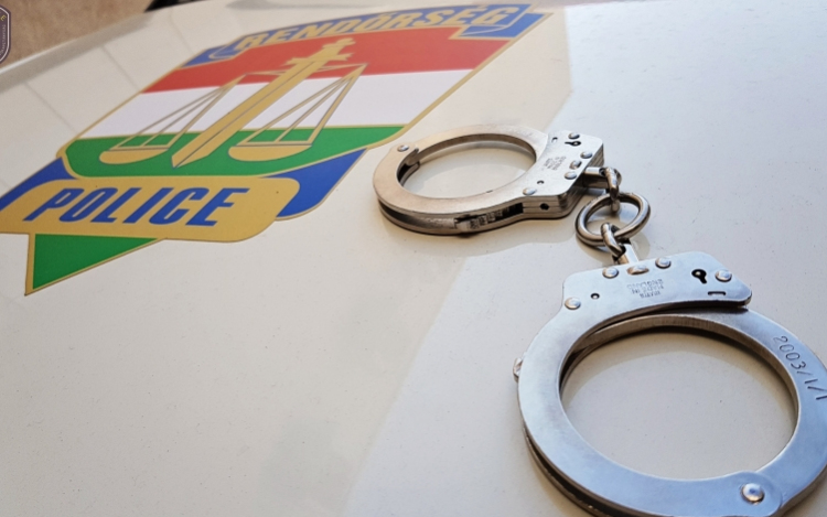 Embercsempészeket és migránsokat fogtak el a rendőrök Győrnél