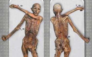 Új tetoválásokat fedeztek fel Ötzi, a gleccsermúmia bőrén